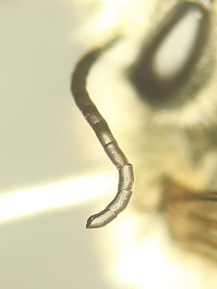 David Basham tweet media