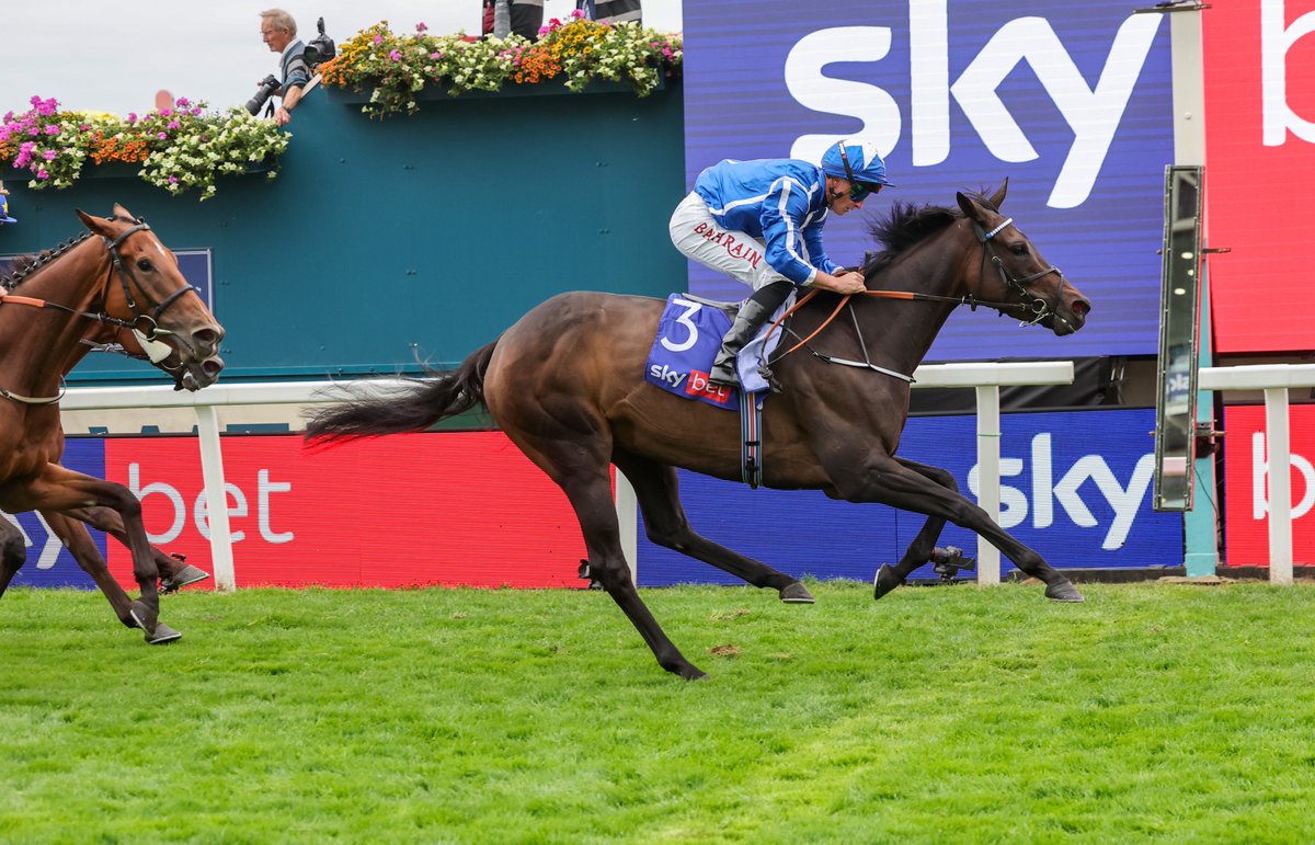 Connolly's RED MILLS (@redmillshorse) on Twitter photo Shining Bright ⭐️🇬🇷
Santorini Star won the big Stayers Handicap yesterday at <a href="/yorkracecourse/">York Racecourse</a> under <a href="/TomMarquand/">Tom Marquand</a> for trainer <a href="/WilliamHaggas/">Somerville Lodge Stables</a> 👏🏆
#FeedYourDesireToWin Shining Bright ⭐️🇬🇷
Santorini Star won the big Stayers Handicap yesterday at <a href="/yorkracecourse/">York Racecourse</a> under <a href="/TomMarquand/">Tom Marquand</a> for trainer <a href="/WilliamHaggas/">Somerville Lodge Stables</a> 👏🏆
#FeedYourDesireToWin