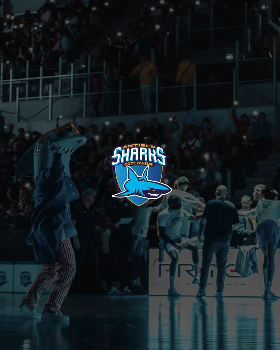 agenceCKCnet's tweet photo. Ça y est, le compte à rebours est lancé 🏀

La saison régulière de basket PRO B approche et on sent déjà l’électricité dans l’air. Chez nous, toute l’équipe est super fière de continuer l’aventure digitale avec les @AntibesSharks .

#agenceweb #agencedigitale #GoSharks https://t.co/0Mb49SGH7L