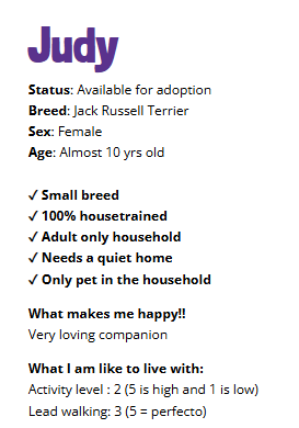 💜 JUDY 💜

pawprintsdogrescue.org/dog/judy/

#adoptdontshop #Warwickshire #rescuedogs