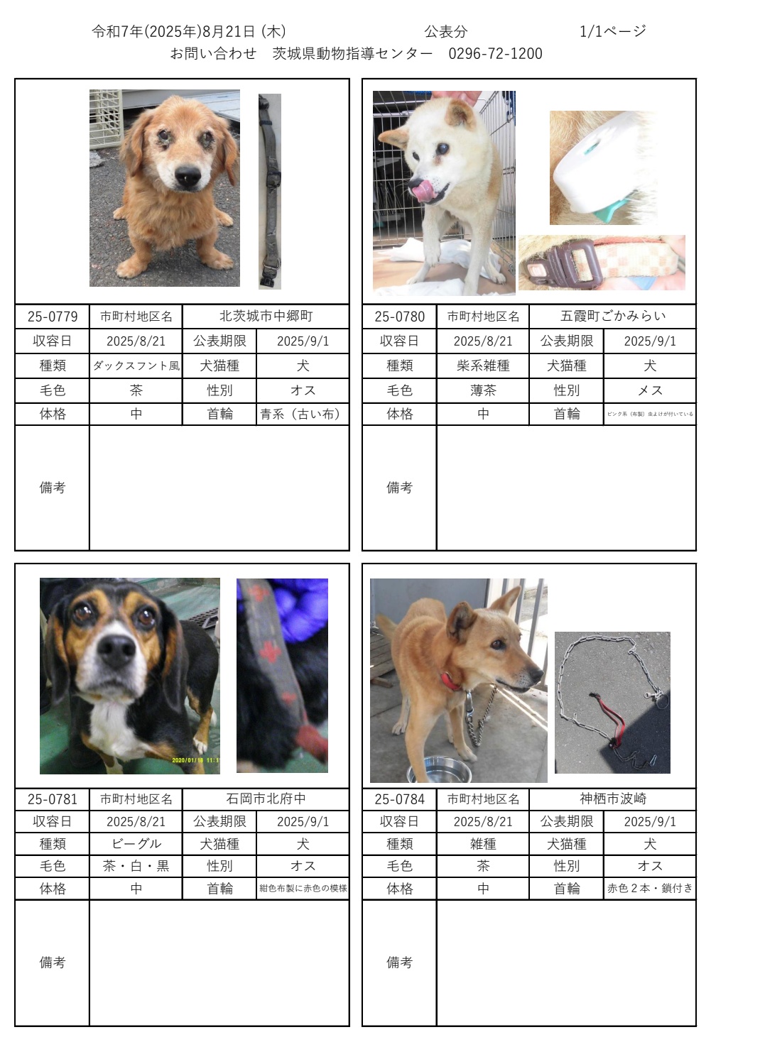 つかいふるしのいぬ Amazon.co.jp: 犬のはなし 古犬どら犬悪たれ犬 (角川文庫