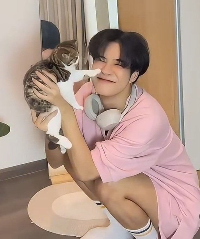 You were company for each other, you both took care of each other with so much love, may you Killua be dancing happily and without pain in the kitten heaven 🙏❤️ #ArtPakpoom  
#Killua