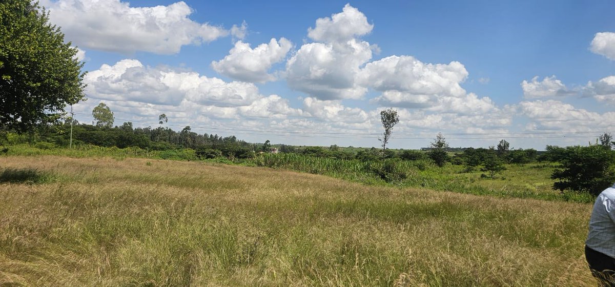 imperialhousing's tweet photo. CALL/WHATSAPP 0703758016
Land for Sale
Location: Kabati, Murang’a County
Size: 43 Acres
Topography: Flat and well-drained
Soil Type: Fertile red soil
Water Source: On-site dam
Ideal for:
Commercial development,residential,Agri-business Asking Price:
Ksh. 24 Million per Acre https://t.co/IJmziIQnUw