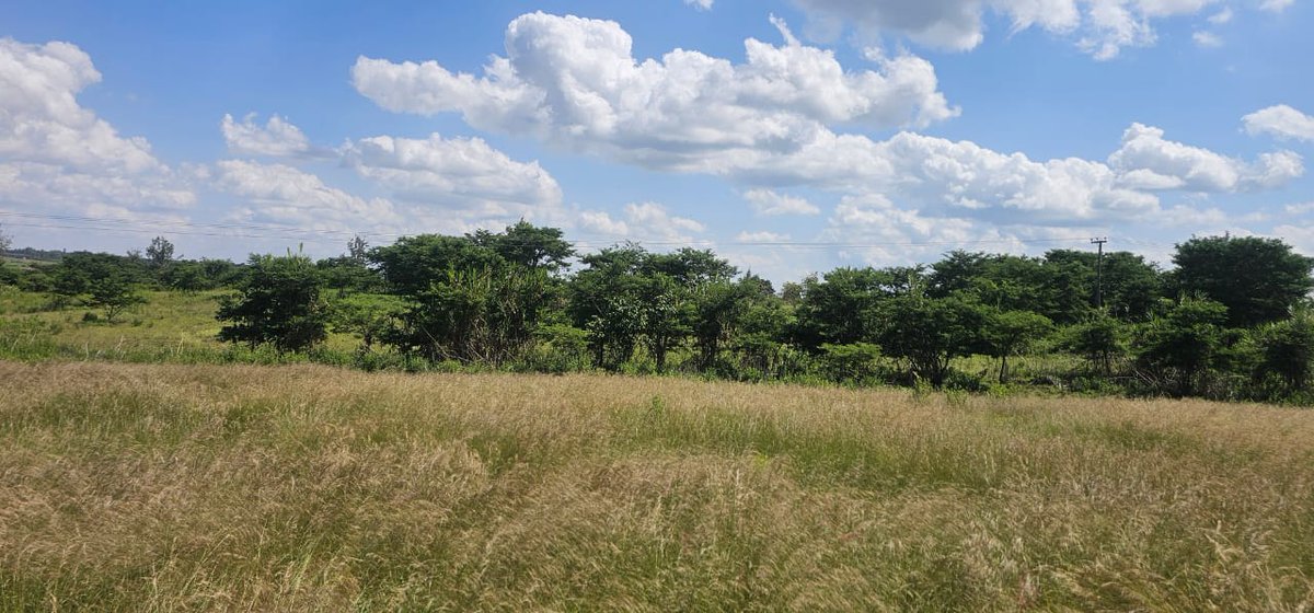 imperialhousing's tweet photo. CALL/WHATSAPP 0703758016
Land for Sale
Location: Kabati, Murang’a County
Size: 43 Acres
Topography: Flat and well-drained
Soil Type: Fertile red soil
Water Source: On-site dam
Ideal for:
Commercial development,residential,Agri-business Asking Price:
Ksh. 24 Million per Acre https://t.co/IJmziIQnUw
