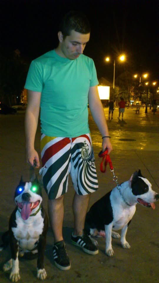 Искочи на фб-у,  13. година уназад, Рио  ( лево, мој ) Ро ( десно ) брат из легла. 11. година са њим, сад већ 2,5-3 без, и мислим да нећу још дуго моћи да узмем новог љубимца.