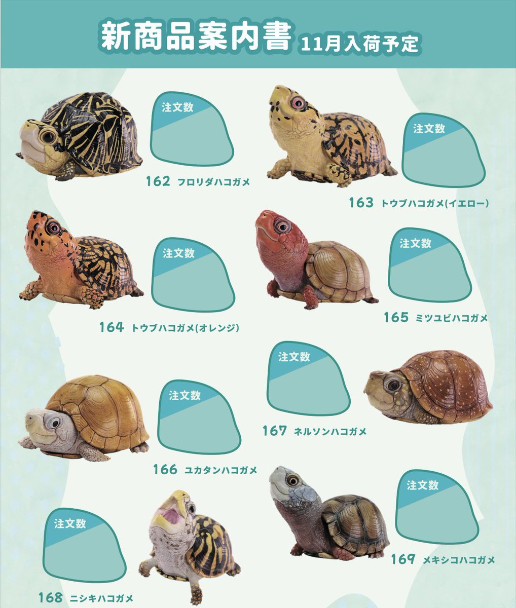 【動物の惑星】レア★上海展覧会非売品!記念品トウブハコガメ! フィギュア 61HfORhjjwL._UF350,350_QL50_.jpg