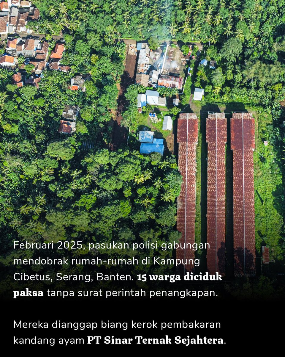 projectm_org's tweet photo. Protes warga bertahun-tahun diabaikan, sampai warga nekat membakar kandang. Belasan orang kemudian ditangkap tanpa prosedur, sebagian disiksa.

https://t.co/aoO6abBuKs https://t.co/kDn5lyRkLC