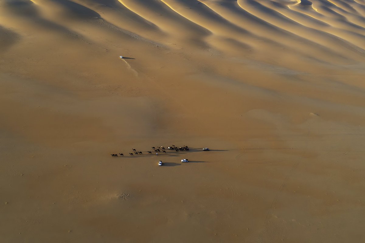 sayafdashen's tweet image. من #الربع_الغالي