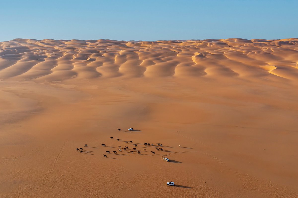 sayafdashen's tweet image. من #الربع_الغالي