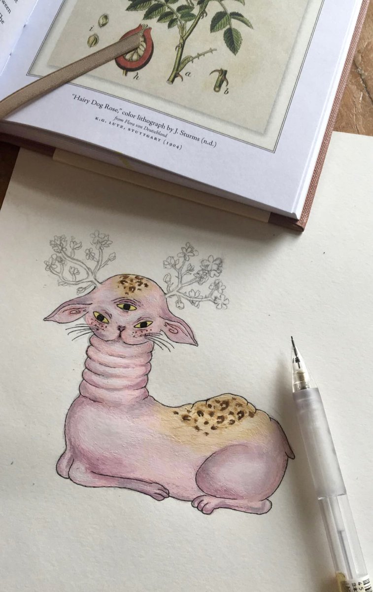 anyahillus 𖦹 tweet media