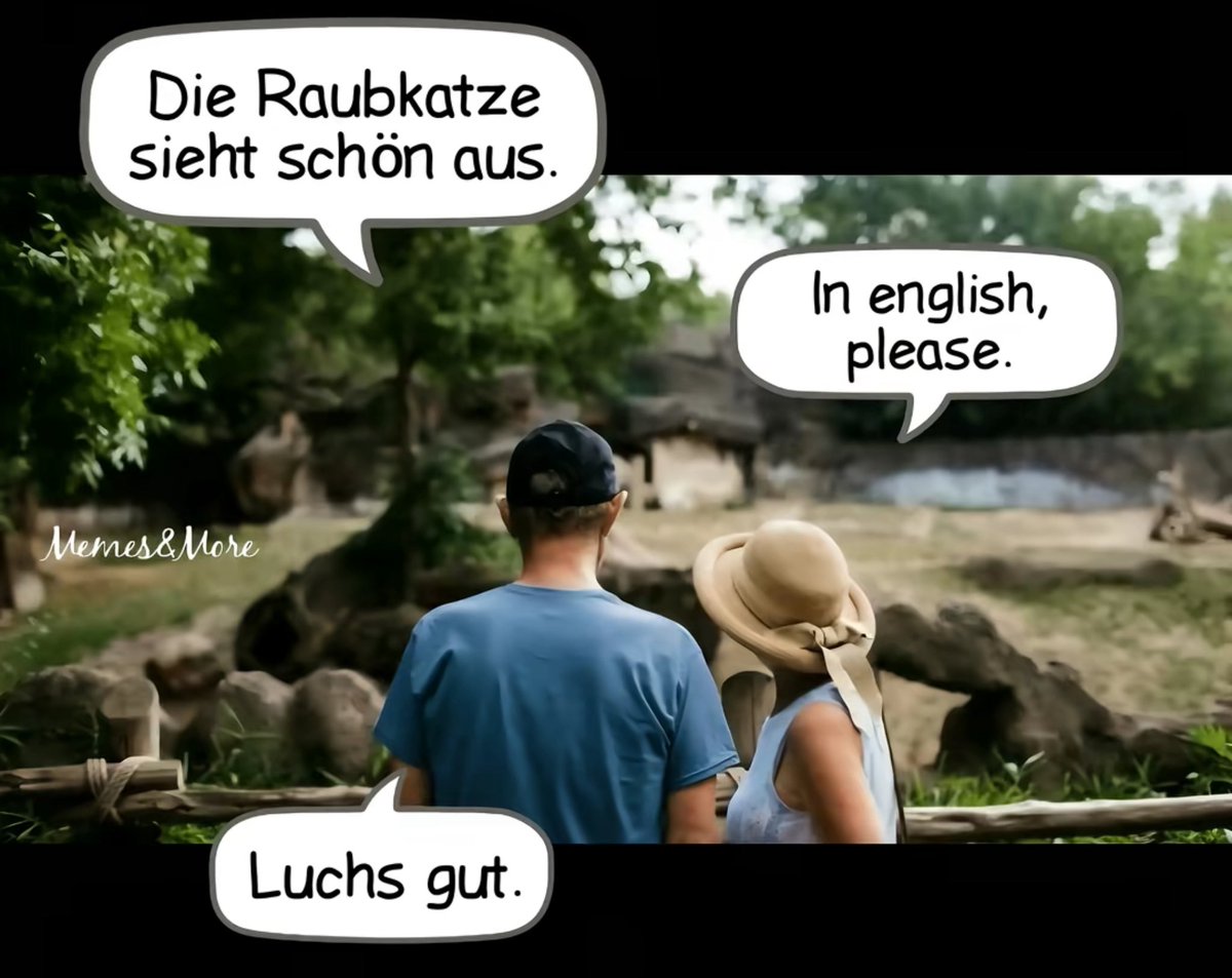 pulpo404 tweet media