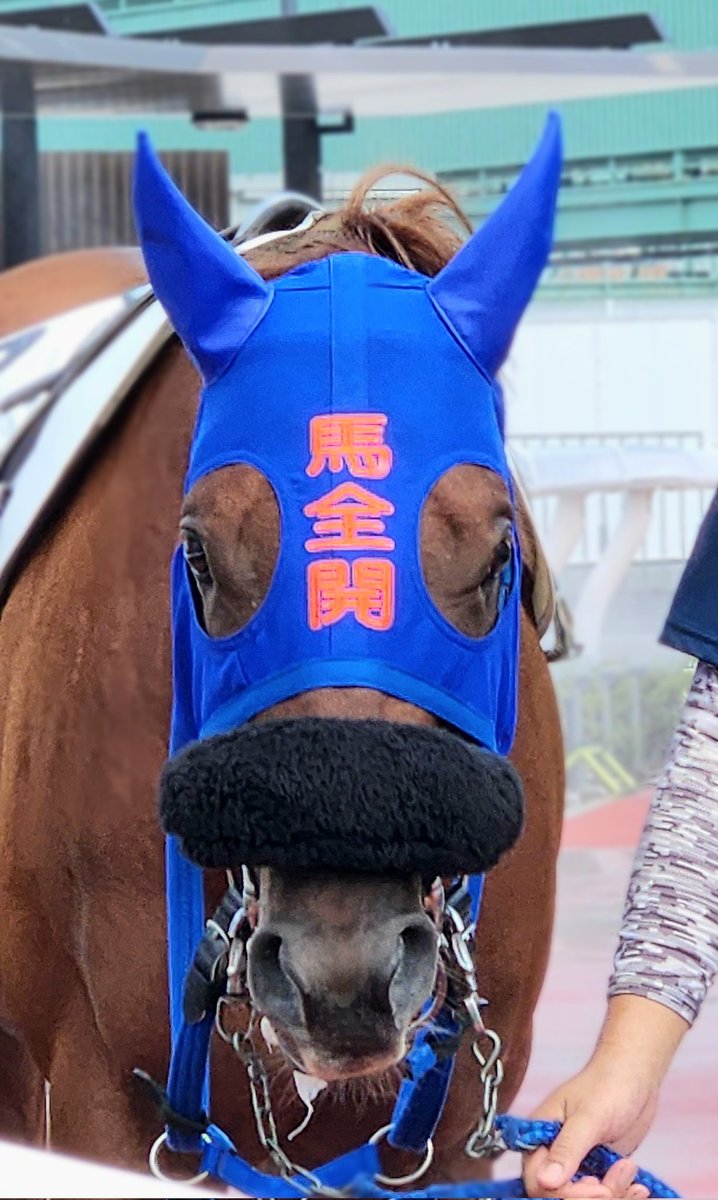 8/20 浦和3R
#トゥジアース
#入口由美子厩舎
#浦和競馬
＼＼\  馬全開  /／／