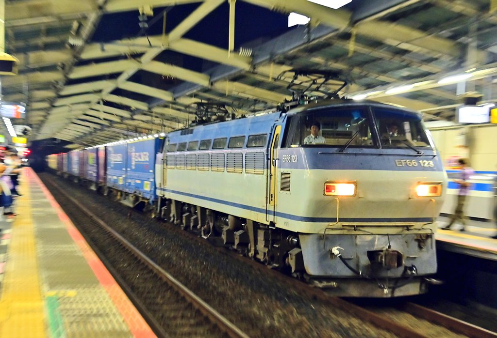 2025 8/4 2067レ  EF66 123号機
この日は123号機の運用との事で、記録程度に撮影しました📷 #サメ #EF66 #2067レ #貨物列車 #武蔵野線