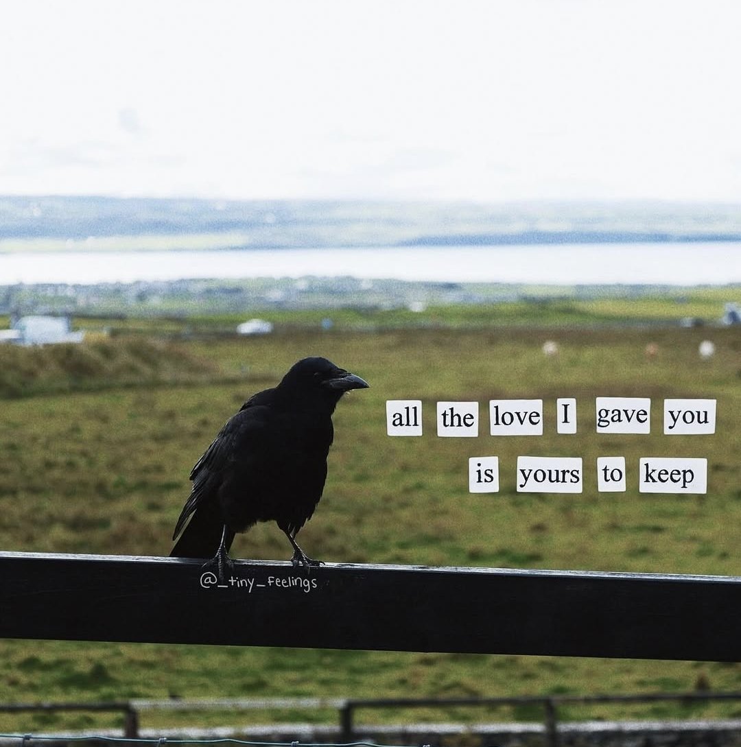 Synexdoche (@amor_fatti) on Twitter photo 