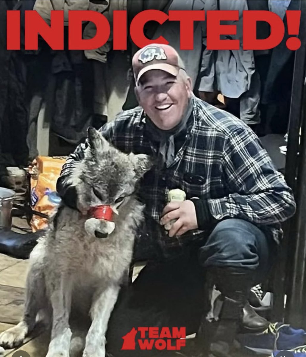 BREAKING NEWS : Wolf killer Cody Roberts has been indicted by a Grand Jury in #Wyoming . Justice is finally catching up eighteen months after he ran her over with a snowmobile, taped her mouth, torture, electric shock before finally killing her. 😡
#CodyRoberts #Wolves #USA #US