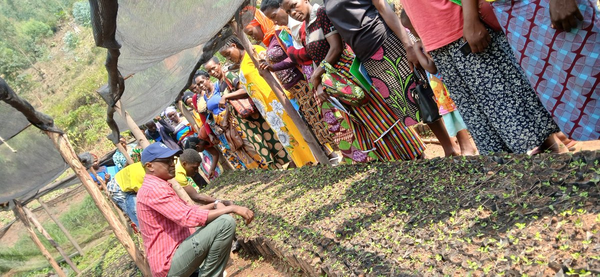 SAFE NGO tweet media