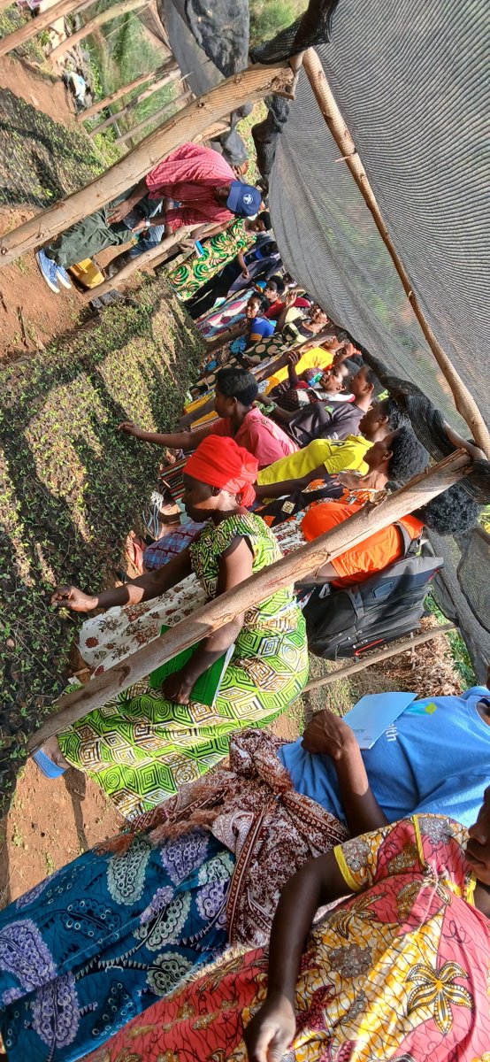 SAFE NGO tweet media