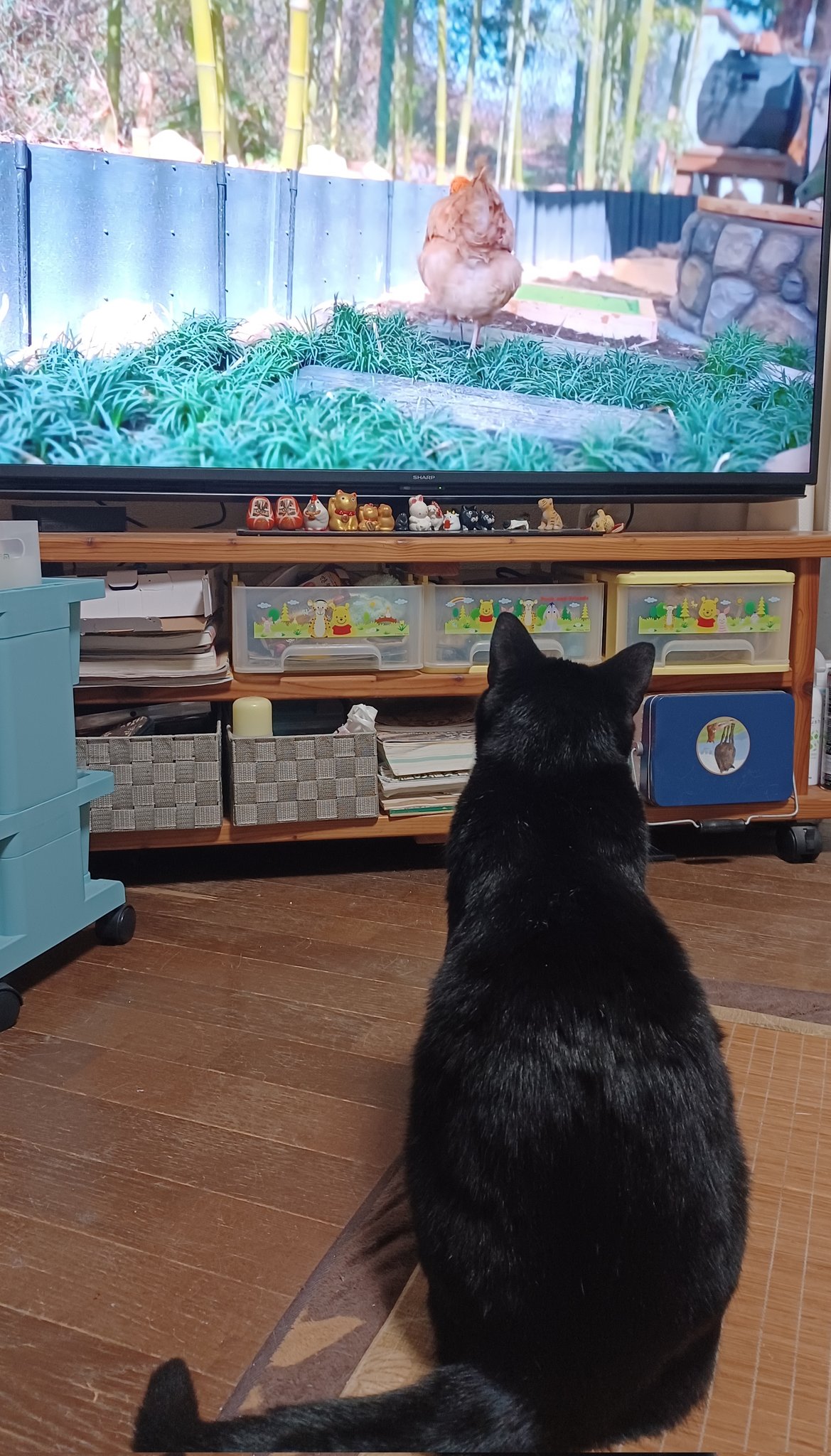 完成order◯ねこ☆プロフ一読お願いします☆さま専用 完成order◯ねこ☆プロフ一読お願いします☆さま専用