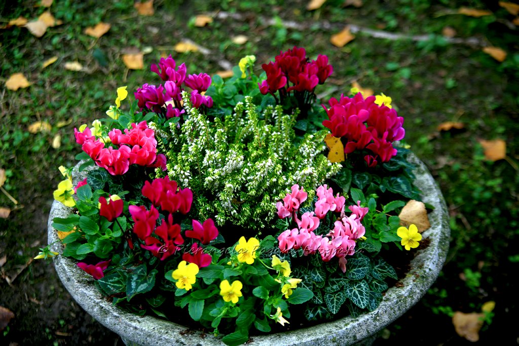 Si passa,
si guarda,
in silenzio,
la stanchezza,
i passi,
la pagina dopo.
Si passa,
si guarda,
vi sia quiete.
E finalmente,
addormentarsi,
come un bambino,
stanco dal troppo gioco.
#comprensione.