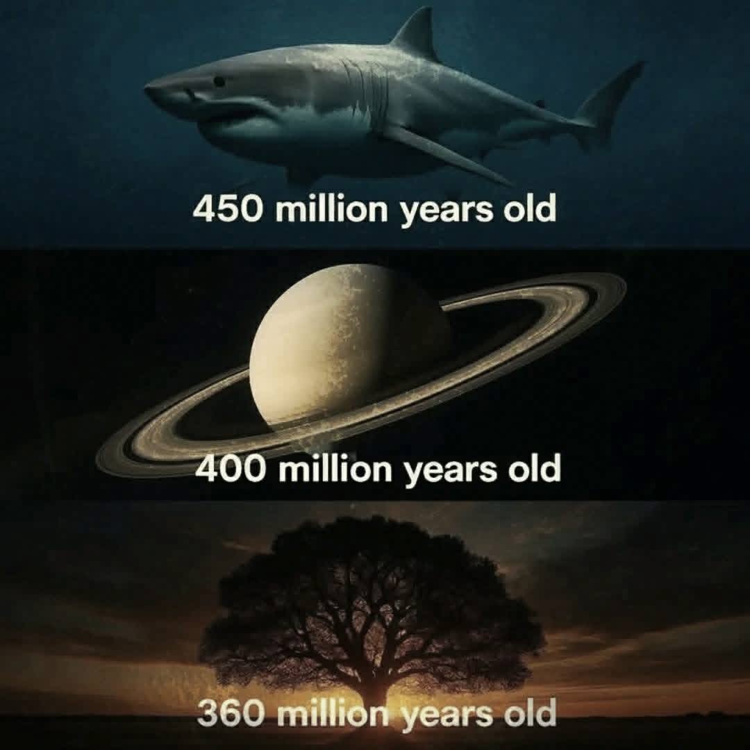 Sharks existed before Saturn rings formed and trees grew 🤯