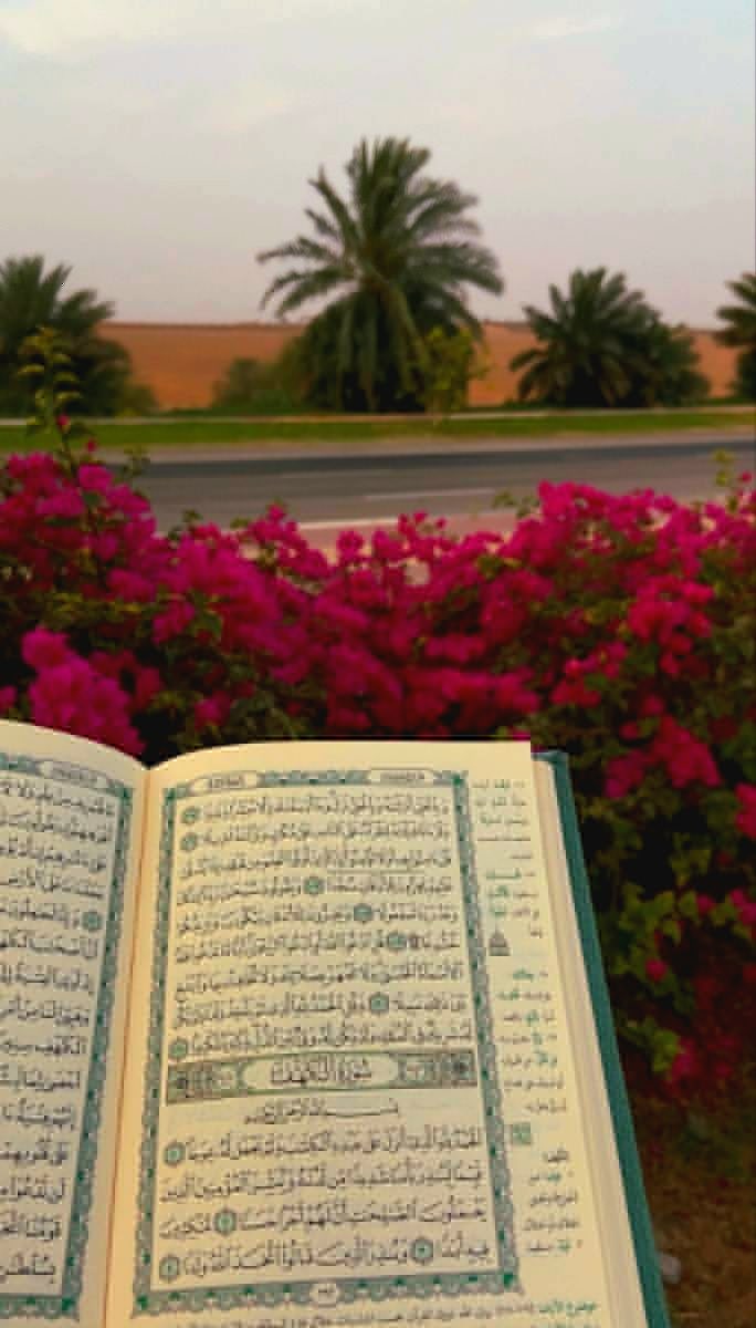 Shabnam Tabasome (@tabasome54321) on Twitter photo (وَإِنَّهُۥ لَهُدًى وّٙرَحْمَةٌ لِّلْمُؤْمِنِينَ)
په یقیني توګه؛ دا قُرآنکریم د مؤمنانو
لپاره هدايت او رحمت دى.
<a href="/Tabasome54321/">Shabnam Tabasome</a> (وَإِنَّهُۥ لَهُدًى وّٙرَحْمَةٌ لِّلْمُؤْمِنِينَ)
په یقیني توګه؛ دا قُرآنکریم د مؤمنانو
لپاره هدايت او رحمت دى.
<a href="/Tabasome54321/">Shabnam Tabasome</a>