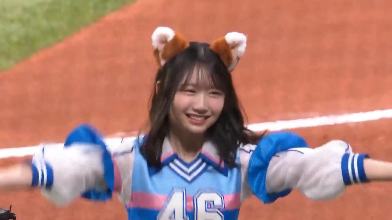 ファイターズガール アクリルスタンド 全員集合Ver. ファイターズ