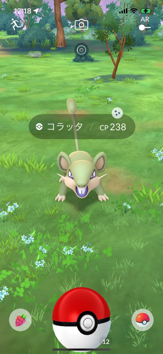 STATpoke's tweet photo. 最近の色違いその3😄
Aライチュウは初なので嬉しい☺️ https://t.co/3Bsw1YUwud
