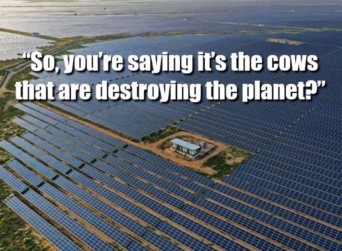 Carol Mary tweet media