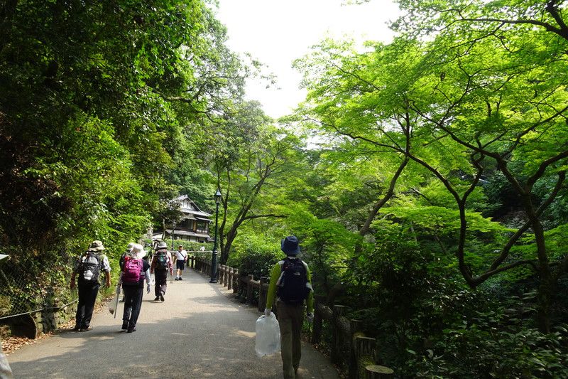 OsakaVolunteer's tweet photo. \ #環境 /箕面の山 #クリーンハイキング 👟🧹
自然を楽しみながら山の美化活動に参加してみませんか?
日時:毎月開催、詳細をご覧ください
場所:箕面の山(集合:阪急箕面線「箕面」)
募集先:箕面の山パトロール隊 @minoh_pato
詳細
☞ https://t.co/78q7JrzDLn
#N145 #minoh #箕面 https://t.co/LhQb4kr4Eo