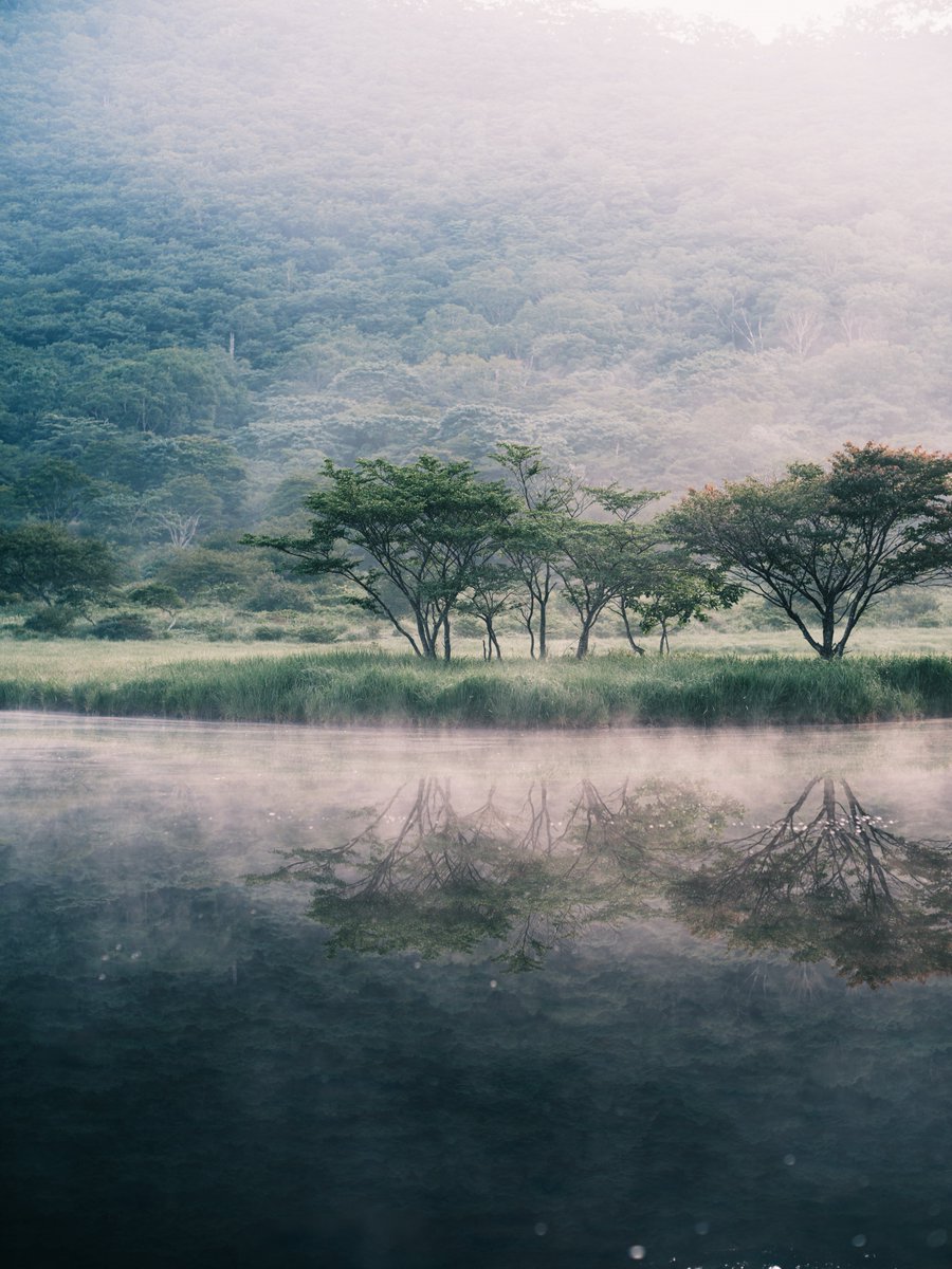 Nature - Landscape