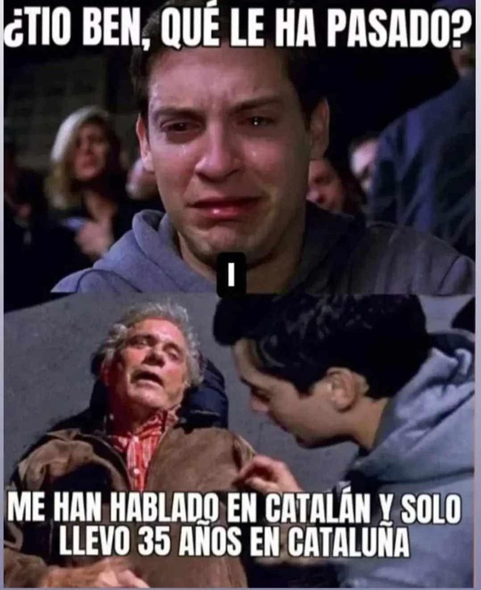 <a href="/ddelvalensiano/">Defensa del País Valencià - #MazónDimissió 🏳️‍⚧️</a>