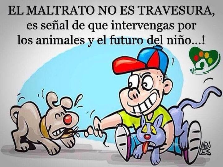 Natalia Houghan (@nhoughan) on Twitter photo 