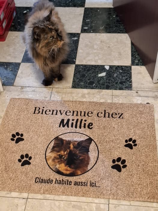 Claude Moniquet tweet media