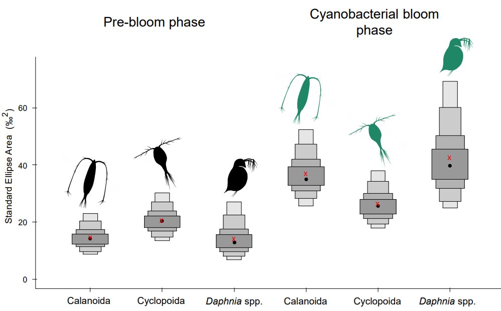 🌊🦠When lakes bloom with cyanobacteria, the whole food web is affected. Planktonic crustaceans widen their diets, but blooms reduce food diversity and threaten energy flow. This risk increases with climate change. 
👉Read more: nature.com/articles/s4159…