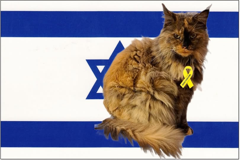 Claude Moniquet tweet media