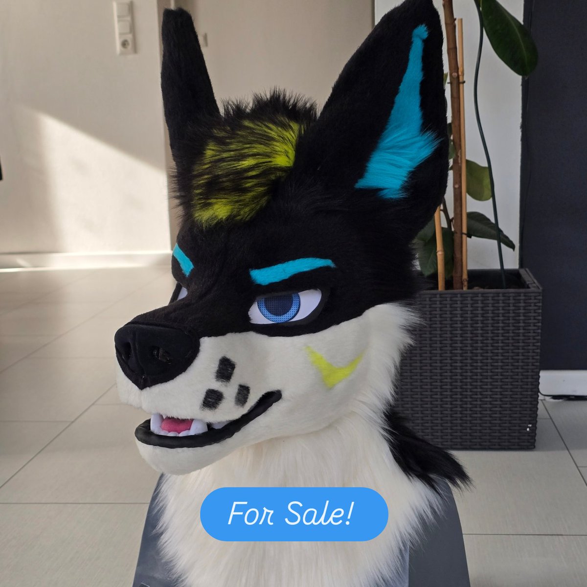 DualPawStudios's tweet photo. 🚨 Adoption Time! 🚨
✨Unique premade fursuit head with tail looking for a new home! 🐾
Handmade with love, built-in fan for comfort, and ready to wear ❤️🐺
➡️ Fullsuit upgrade options available!
 
➡️ Exclusively up for auction in the #EurofurenceArtShow 

 #Eurofurence #FurryArt https://t.co/svC0YtT6Fk