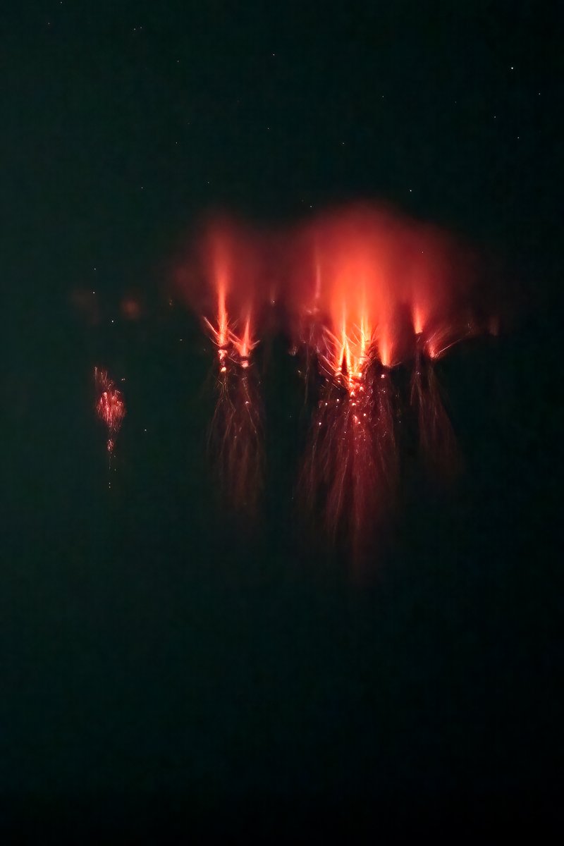 suarezphoto's tweet photo. Hier soir et cette nuit, conformément aux prévisions météo, un orage effrayant s'est formé en Italie. Sur le radar, cet orage était le plus puissant que j'ai jamais vu. Les sommets étaient incroyablement hauts et froids.
Depuis Théoule-sur-Mer, malgré une transparence moyenne du ciel, j'ai pu photographier des salves de red sprites étonnantes. Au moment où je les voyais sur mon écran, je sautais de joie, puis ce sentiment a laissé la place à l'effroi,  car j'étais glacé à l'idée que des êtres humains se trouvaient sous cette énorme masse de la taille d'une région et un peu plus même.  Malheureusement ces orages ont causés de très gros dégâts et il y a même eu des victimes sous les orages dans la journée d'hier.
Le bouleversement climatique n'est pas anodin, mais on s'en doutait bien...
Je n'ai pas le temps de dépouiller tous les rushs. Il y a de la vidéo et de la photo. Les images qui suivent sont extraites d'enregistrements vidéos effectués avec un Z6 refiltré Astronomik L2 et un objectif 40/1.4 ou 85/1.2 pour les vues plus rapprochées.
Pour finir, j'ai une grande pensée pour toutes les personnes touchées directement ou indirectement par cet orage cataclysmique.

#orage #orages #redsprites #farfadets @KeraunosObs @infoclimat @PlanetarioMad  #AlpesMaritimes