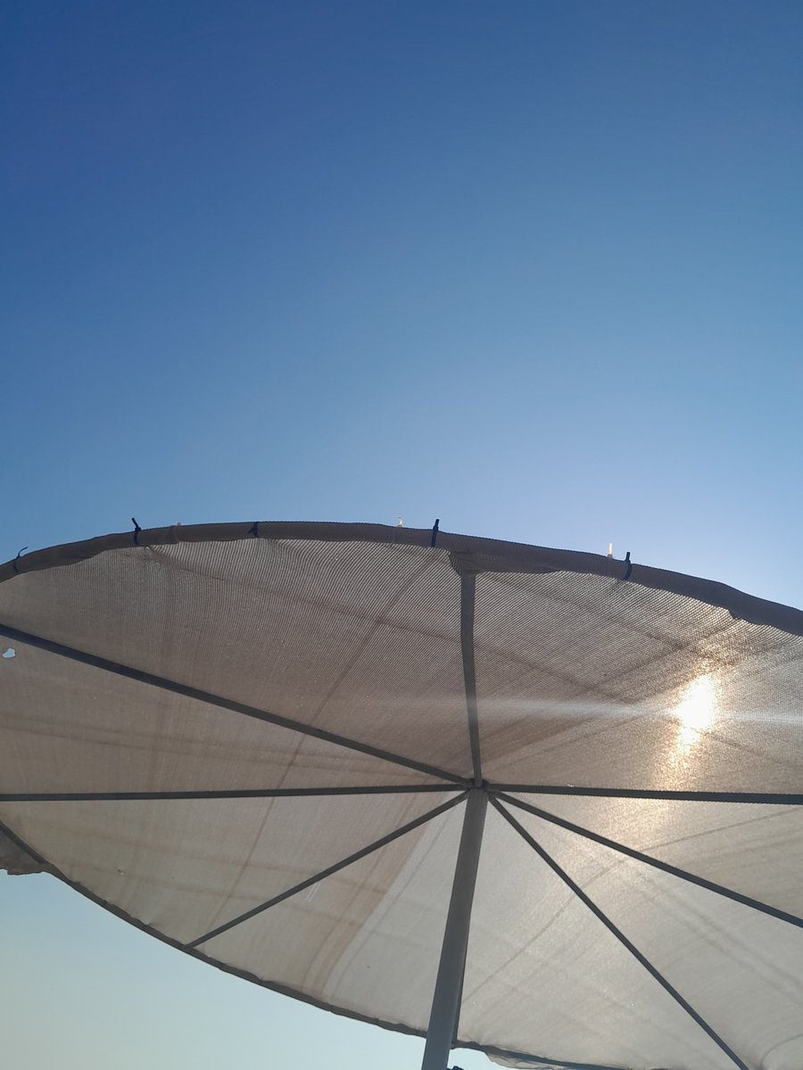 🌊🩵🐚🌞🏖️🐬🎈📷🎀