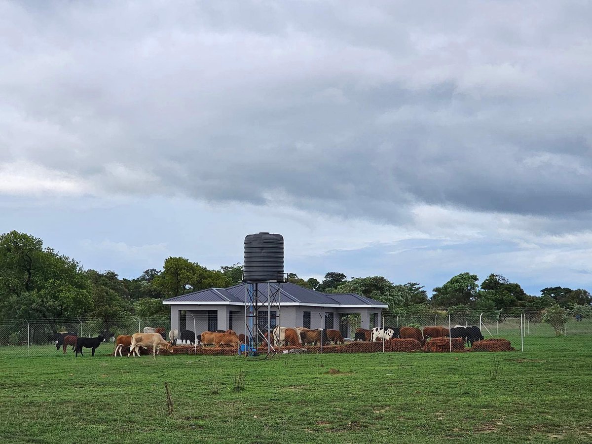 SimMenu's tweet image. Be