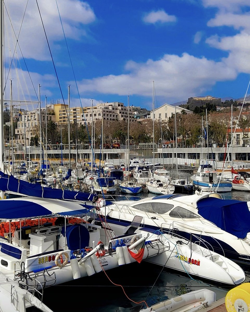 Happy Funchal Day! 🎉
517 years old today and still counting. 😍💙
#DiaDaCidadeDoFunchal
#Funchal #MadeiraIslands🏝