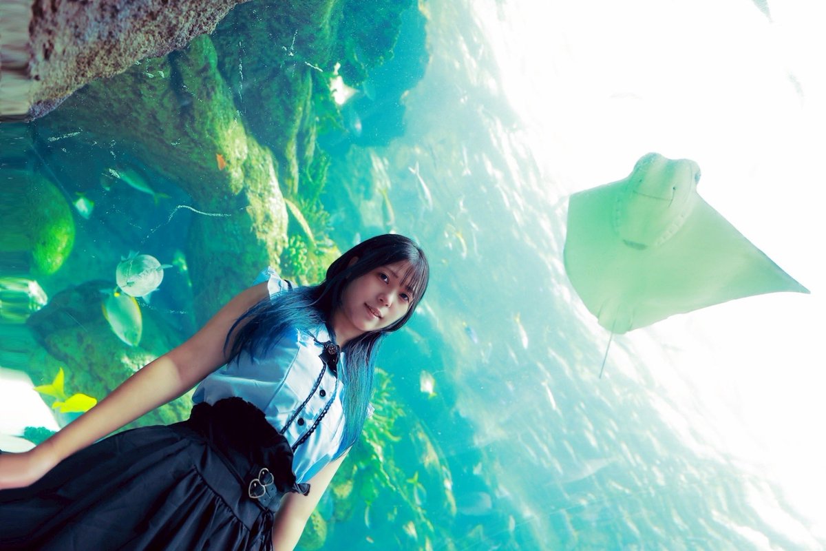 🩵ྀི🪼ྀི🩵ྀིくらげ🩵ྀི🪼ྀི🩵ྀི

<a href="/kamisiro_yuuki/">神城優希🪼/ぷにゆーき</a> 📷💭 ̖́-

  #くらげ  #名古屋港水族館
 #水族館  #コスプレ