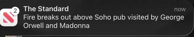 Those two are always getting into mischief.