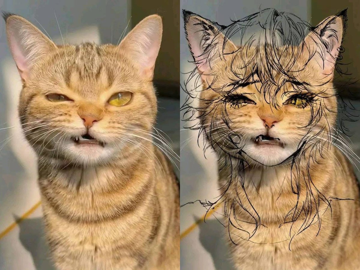 Images That Make You Feel Pain (@manmilk2) on Twitter photo 