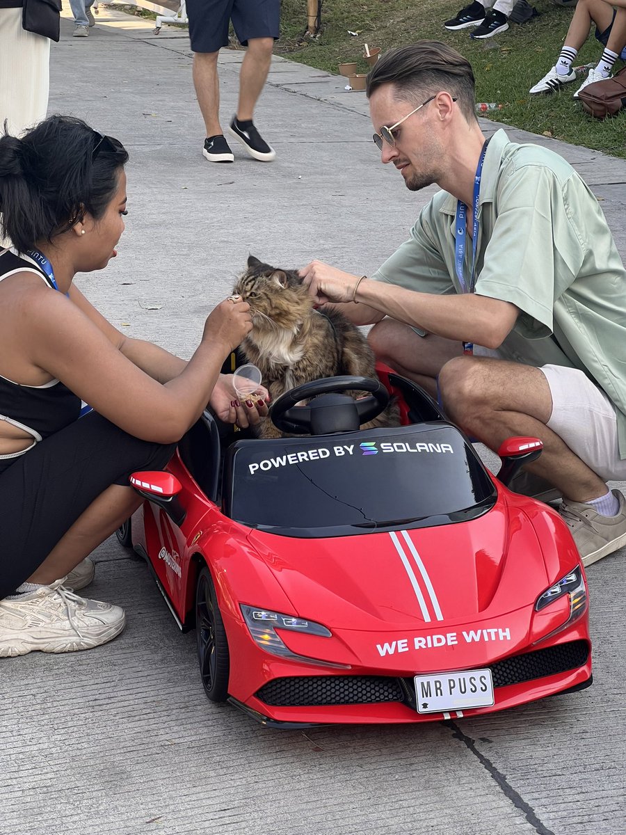 Spotted: Solana Powered Kitty