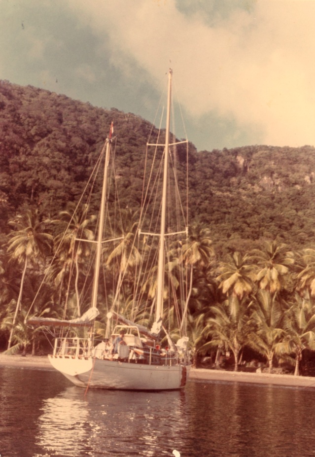 Hans van der Klis tweet media