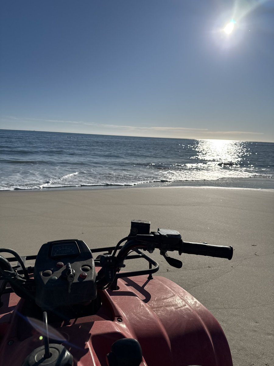 Just beyond ….paddock life.
#Limestonecoast