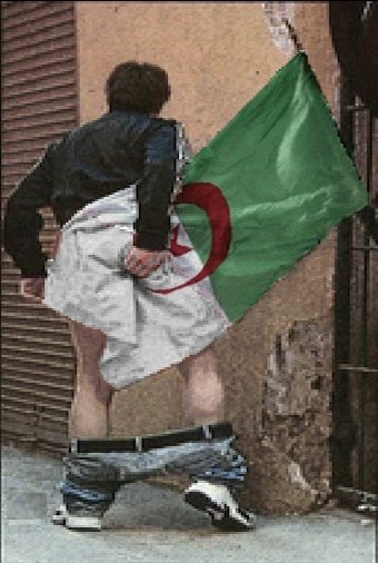lavoixdu38 🇫🇷 ⚜️ (@lavoixdu381) on Twitter photo <a href="/CordierAlice2/">Alice Cordier</a> J'ai vu la vidéo où vous avez la voiture blindée du GIGN entouré de pseudo-français criant 1,2,3 vive l'Algérie. Un des policiers à tiré en l'air à blanc et ils ont décampé comme des poulets devant un KFC nos braves Algériens. En même temps durant les émeutes il n'y avait qu'eux. <a href="/CordierAlice2/">Alice Cordier</a> J'ai vu la vidéo où vous avez la voiture blindée du GIGN entouré de pseudo-français criant 1,2,3 vive l'Algérie. Un des policiers à tiré en l'air à blanc et ils ont décampé comme des poulets devant un KFC nos braves Algériens. En même temps durant les émeutes il n'y avait qu'eux.