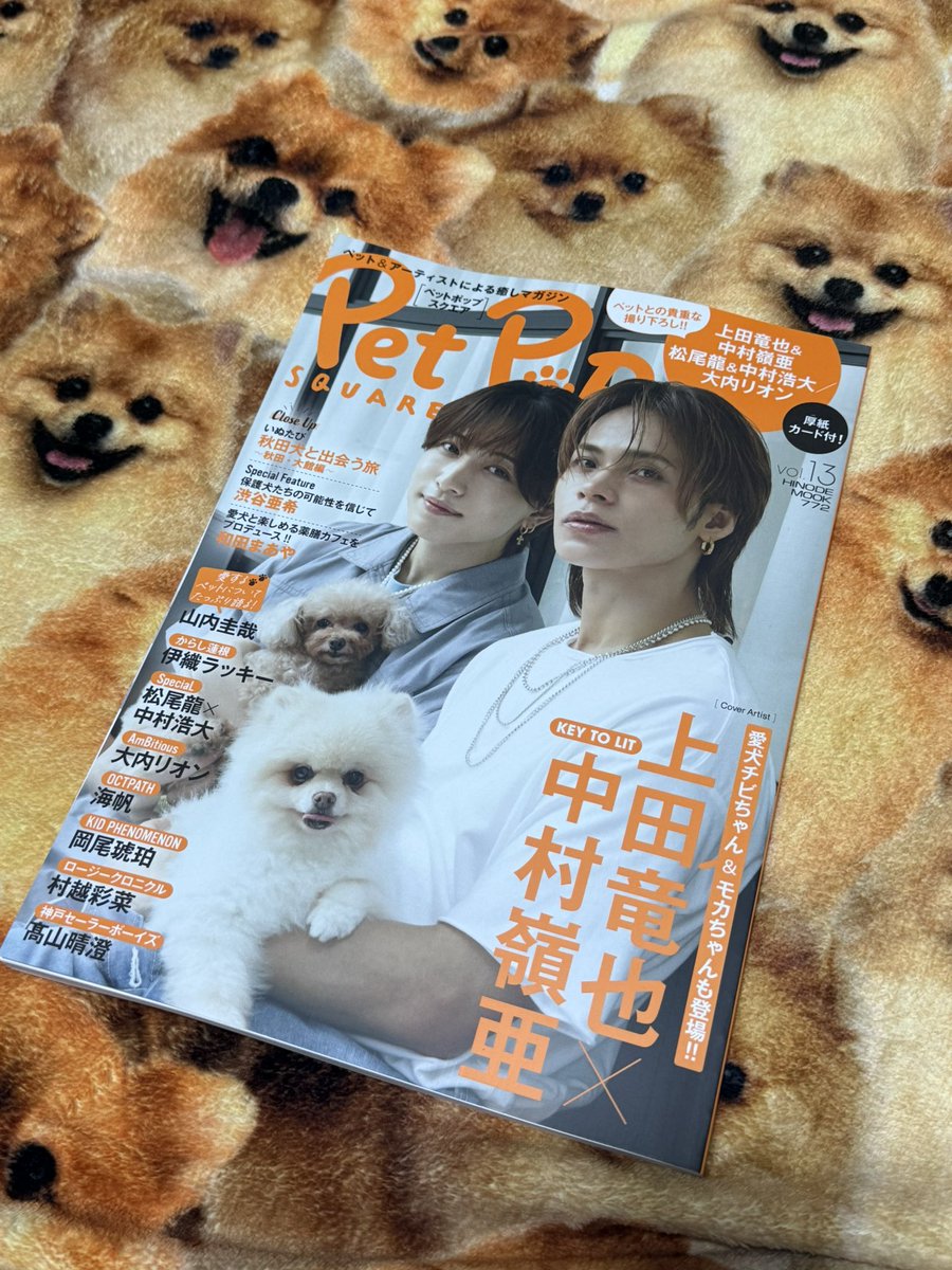 ついにチビさんの年齢、性格、お気に入りのおもちゃというパーソナルデータが判明しました。特集ページ、共通テーマページ、綴じ込み付録合わせて31枚もの写真が掲載されていて、日之出出版様にお歳暮をお送りしたい。
私のお気に入りは7ページ上段の写真のチビさんの舌です。