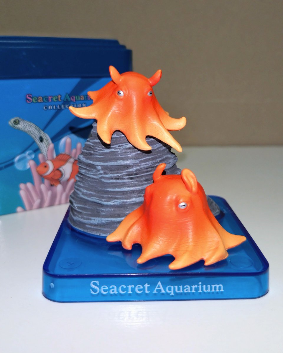 久々に新江ノ島水族館に行ったら新発売のフィギュアを発見。メンダコで