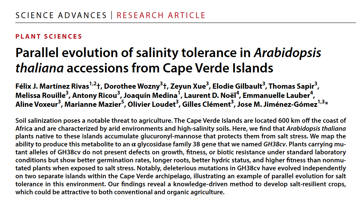 lab129_jm's tweet photo. 🌱✨ New publication in Science Advances!

We collaborated on a study showing how Arabidopsis thaliana from Cape Verde independently evolved salinity tolerance on two islands 🌊💡 — a key insight for developing salt-resilient crops. 🌾

#PlantScience #Evolution #Arabidopsis https://t.co/PZmIIHyTK8